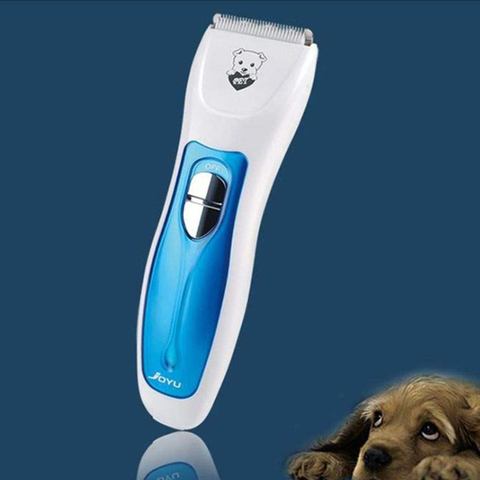 33 HQ Images Pet Grooming Supplies Store Near Me / Buy Dog Hair Removal Tools Cat Shedding Brush Two Way Sticky Hair Home Cleaning Helper Reusable Pet Grooming Supplies Easily Remove Fur From Car Furniture Carpet Bedding And Clothing Blue Online Shop Pet Supplies On Carrefour Uae
